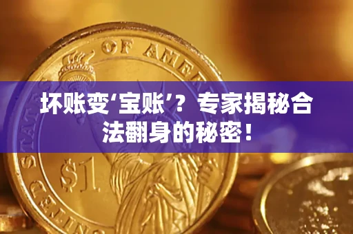 武汉坏账变‘宝账’？专家揭秘合法翻身的秘密！