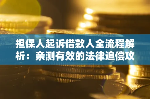 武汉担保人起诉借款人全流程解析：亲测有效的法律追偿攻略