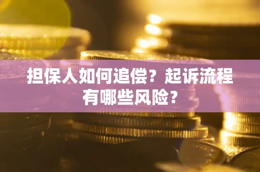 武汉担保人如何追偿？起诉流程有哪些风险？