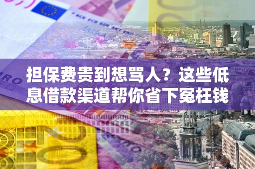 武汉担保费贵到想骂人？这些低息借款渠道帮你省下冤枉钱