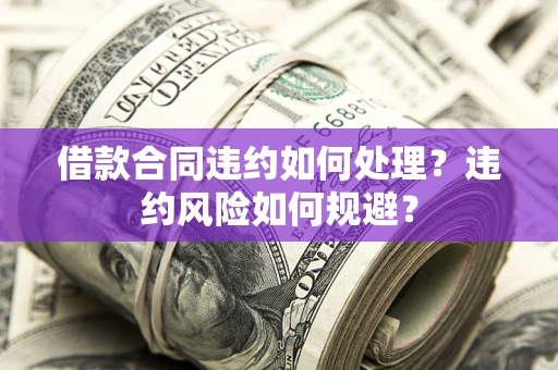 武汉借款合同违约如何处理？违约风险如何规避？