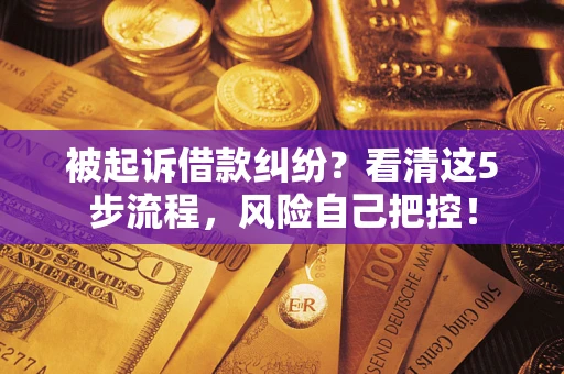 武汉被起诉借款纠纷？看清这5步流程，风险自己把控！