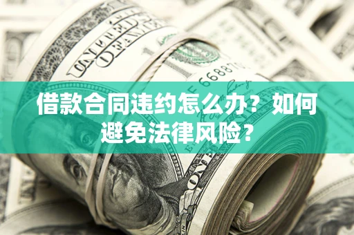 武汉借款合同违约怎么办？如何避免法律风险？
